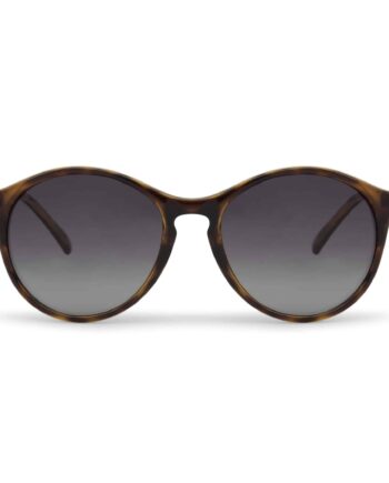 Sparco Paddock Brown Sunglasses
